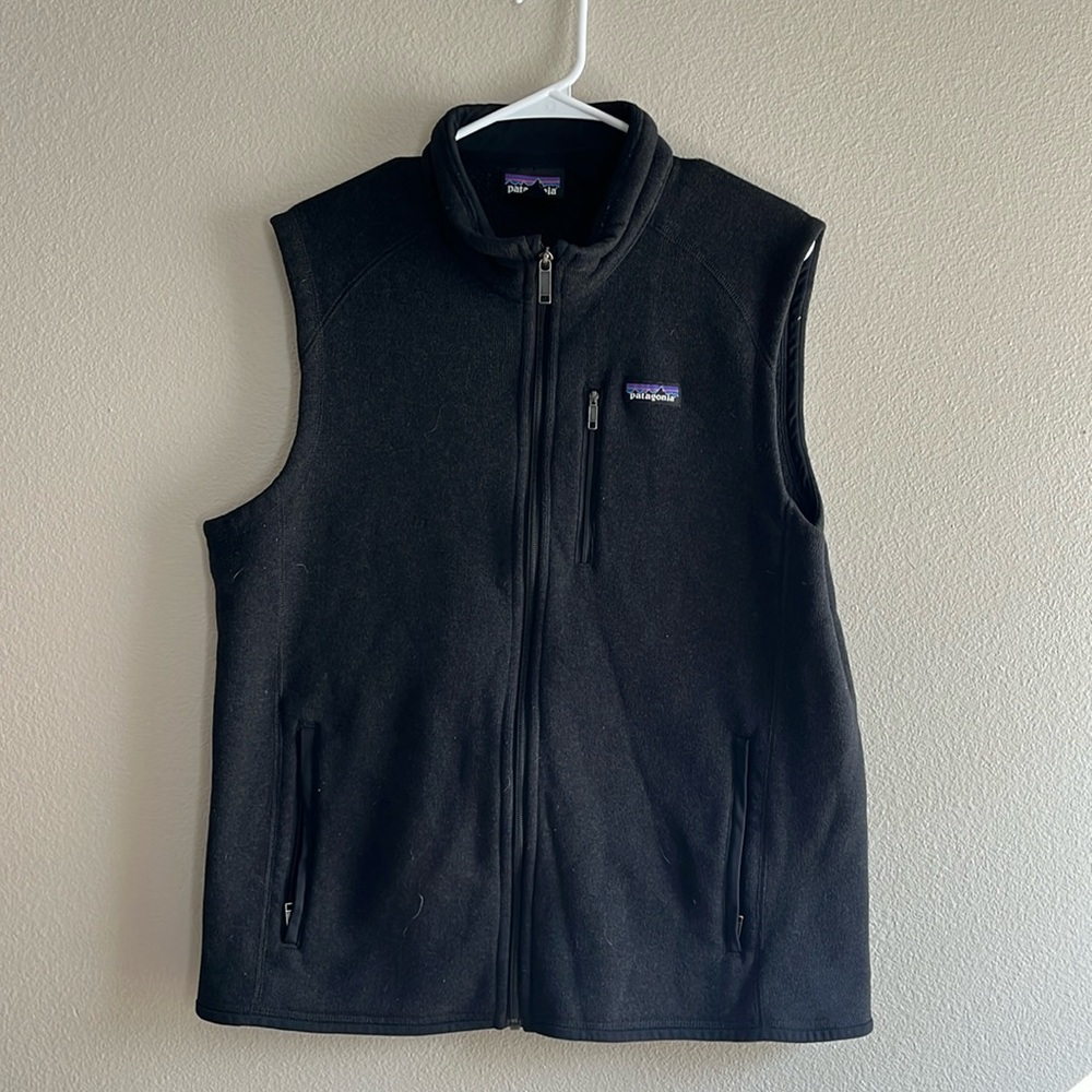 Mens Patagonia Vest